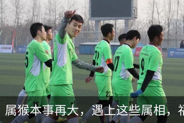 属猴本事再大，遇上这些属相，福气容易耗光